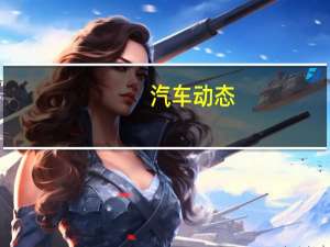 汽车动态：现代汽车展示了其最新中型SUV的高性能PalisadeN