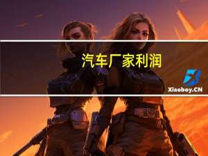 汽车厂家利润