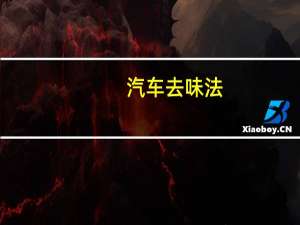 汽车去味法