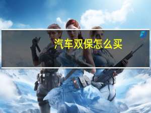 汽车双保怎么买