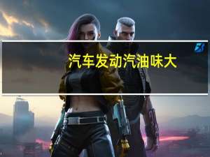 汽车发动汽油味大