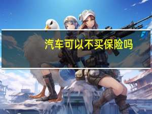 汽车可以不买保险吗
