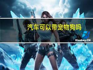 汽车可以带宠物狗吗