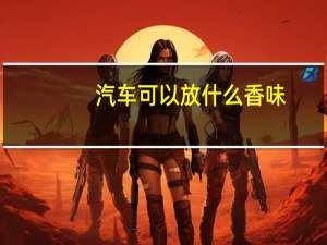 汽车可以放什么香味