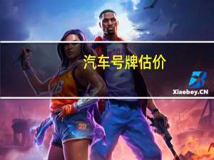 汽车号牌估价
