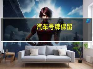 汽车号牌保留