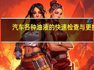 汽车各种油液的快速检查与更换