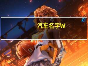 汽车名字W