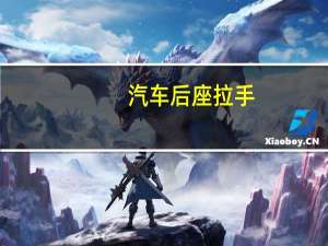 汽车后座拉手