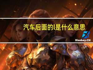 汽车后面的l是什么意思