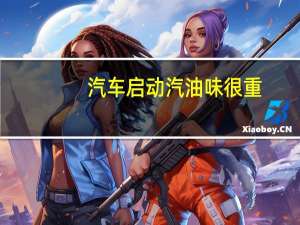 汽车启动汽油味很重