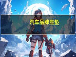 汽车品牌座垫