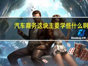 汽车商务这块主要学些什么啊