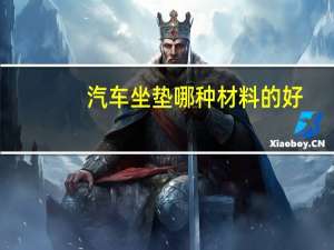 汽车坐垫哪种材料的好