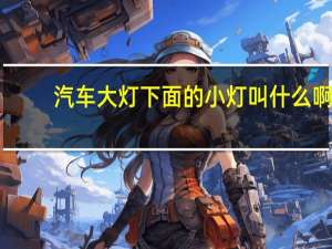 汽车大灯下面的小灯叫什么啊