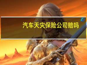 汽车天灾保险公司赔吗