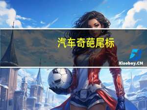 汽车奇葩尾标