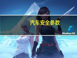 汽车安全参数