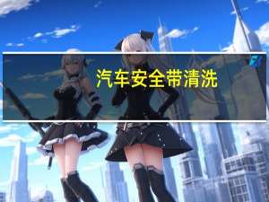 汽车安全带清洗