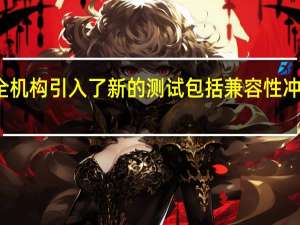 汽车安全机构引入了新的测试 包括兼容性冲击测试和侧面