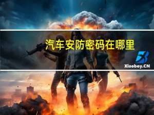 汽车安防密码在哪里