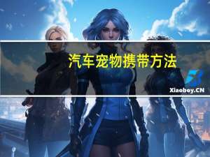 汽车宠物携带方法