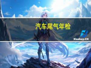 汽车尾气年检