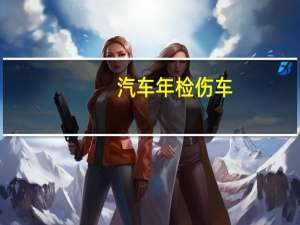 汽车年检伤车