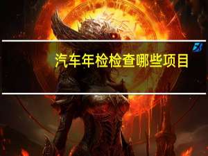 汽车年检检查哪些项目