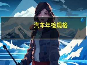 汽车年检规格