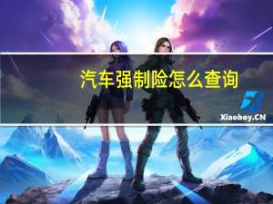 汽车强制险怎么查询