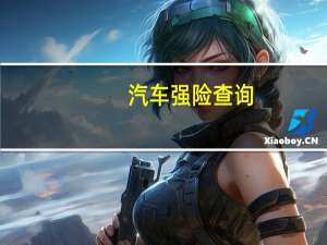 汽车强险查询
