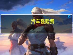 汽车强险费