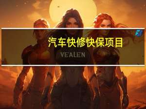 汽车快修快保项目