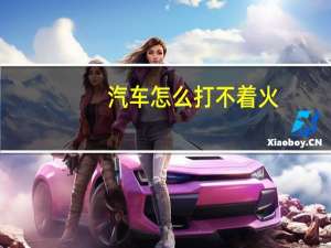 汽车怎么打不着火