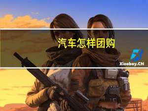 汽车怎样团购