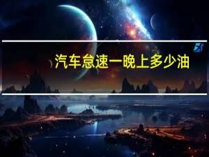 汽车怠速一晚上多少油