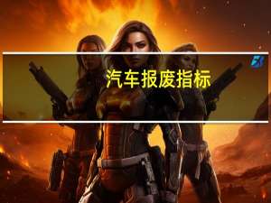汽车报废指标