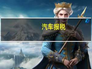 汽车报税
