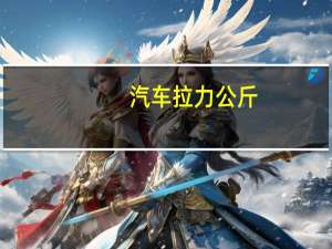 汽车拉力公斤