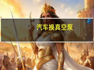 汽车换真空泵