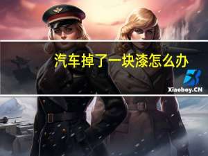 汽车掉了一块漆怎么办