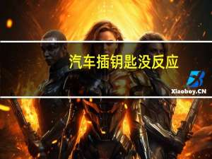 汽车插钥匙没反应