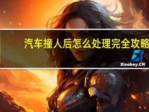 汽车撞人后怎么处理完全攻略
