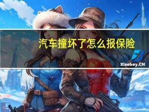 汽车撞坏了怎么报保险