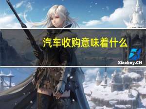 汽车收购意味着什么