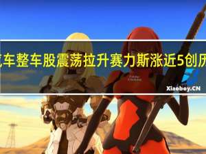 汽车整车股震荡拉升 赛力斯涨近5%创历史新高