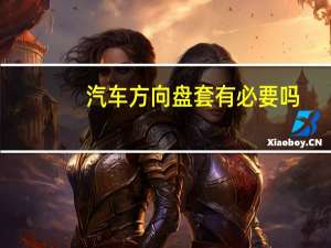 汽车方向盘套有必要吗