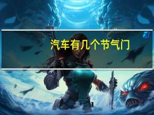 汽车有几个节气门