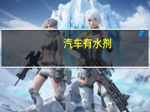 汽车有水剂